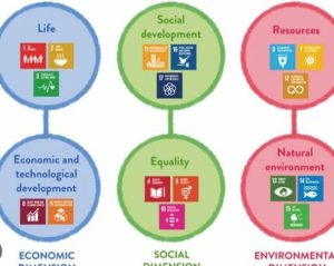 Sustainability in AI Development: The Case of AI Girlfriends